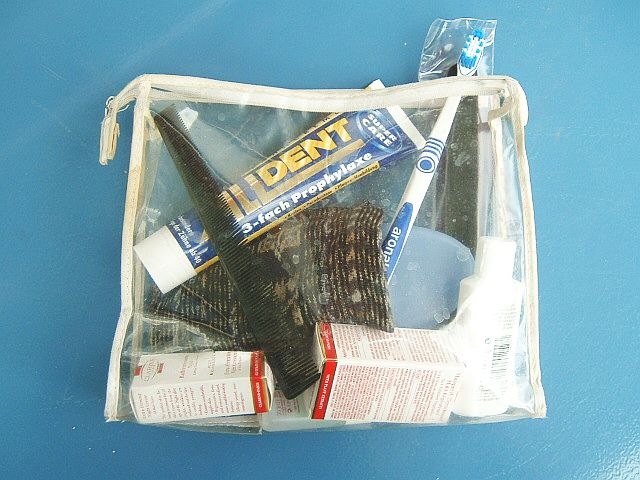 Toiletry bag
