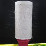 Prediction: The ChomChom-Style Pet Hair Remover Roller Is About to Trend Again (TikTok-to-Amazon)