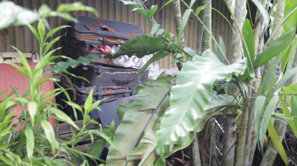 Prediction: Compression Packing Cubes Are the Next TikTok Travel Trend (Here\x27s Why)