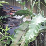 Prediction: Compression Packing Cubes Are the Next TikTok Travel Trend (Here\x27s Why)