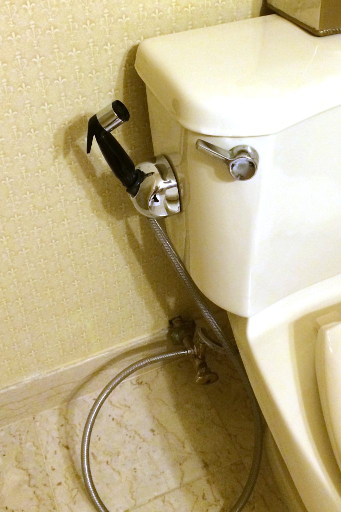 Bidet shower spray handle in bathroom