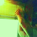 dusting blinds cleaning